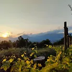 Grappolonero Laino Castello