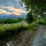 Grappolonero *
