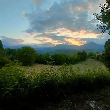 Grappolonero Apartament