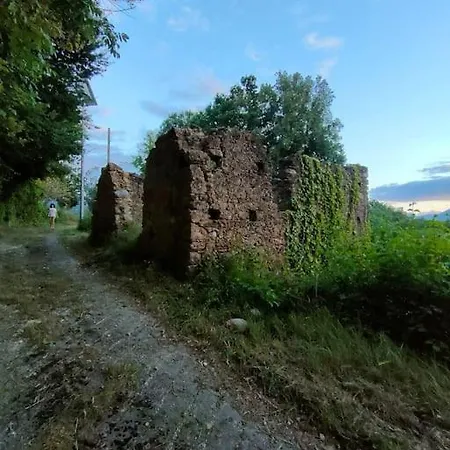 Grappolonero Laino Castello