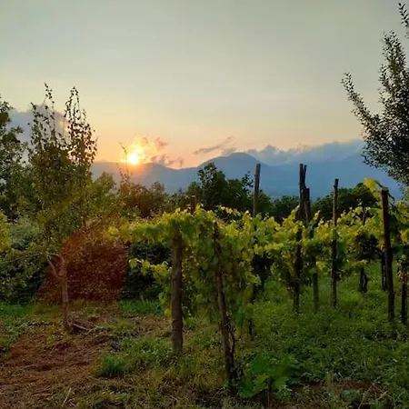 Grappolonero * Laino Castello