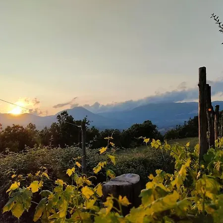 Grappolonero Laino Castello