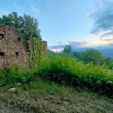 Grappolonero Apartment