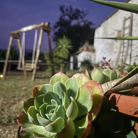 Grappolonero Laino Castello