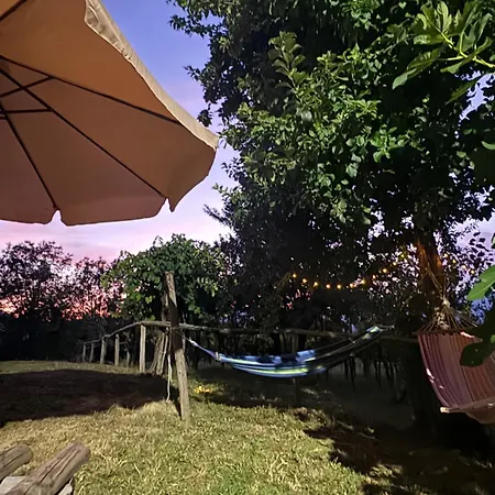 Grappolonero Lejlighed