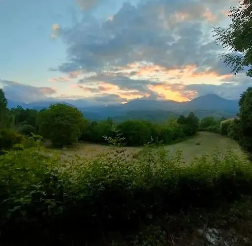 Grappolonero Lejlighed