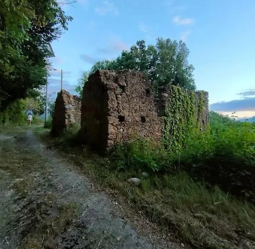 Grappolonero Laino Castello