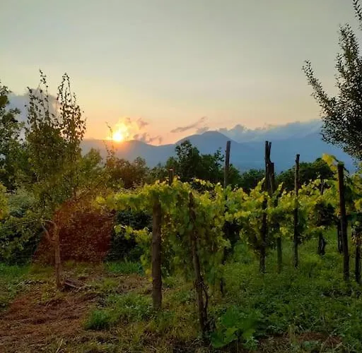 Grappolonero * Laino Castello