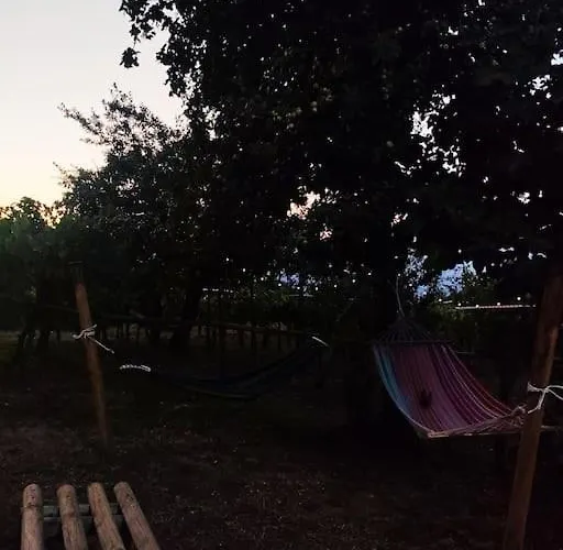 Grappolonero * Laino Castello