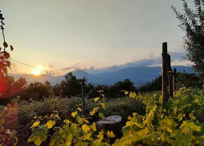 Grappolonero Laino Castello