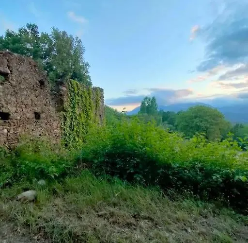 Grappolonero Lejlighed