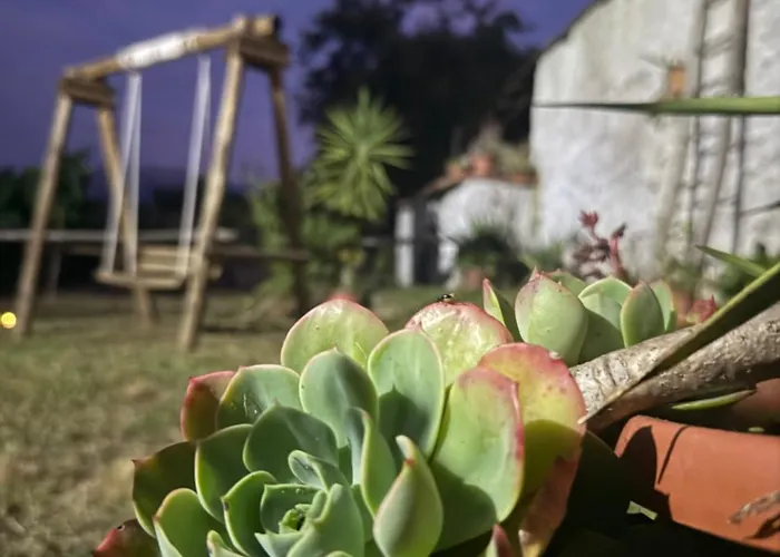 Grappolonero Laino Castello